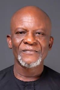 Toyin Oshinaike profile