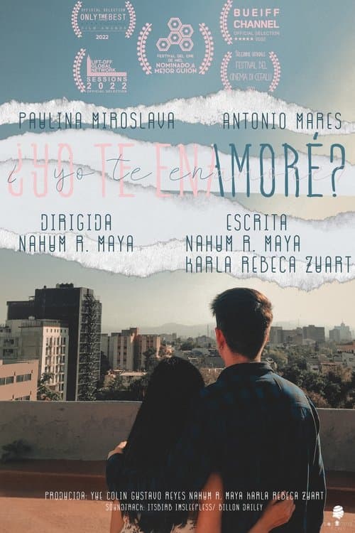 Did I Fall In Love With You? movie poster