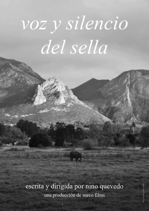 Voice and silence of the Sella poster