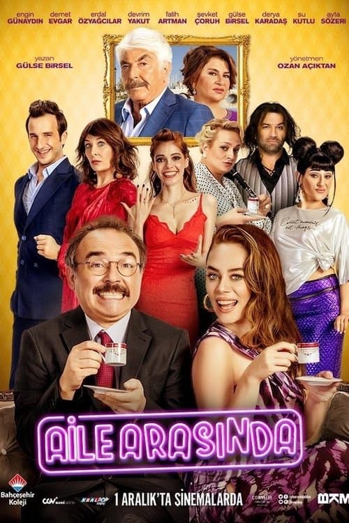 In the Family poster