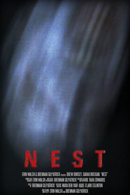 Nest movie poster