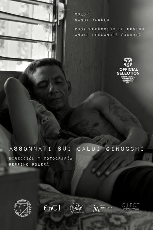 Sleeping on Warm Knees movie poster