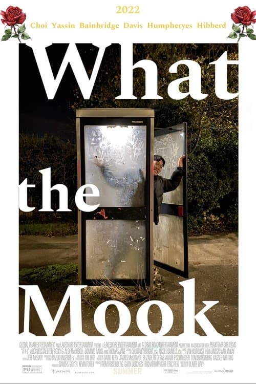 What the Mook poster