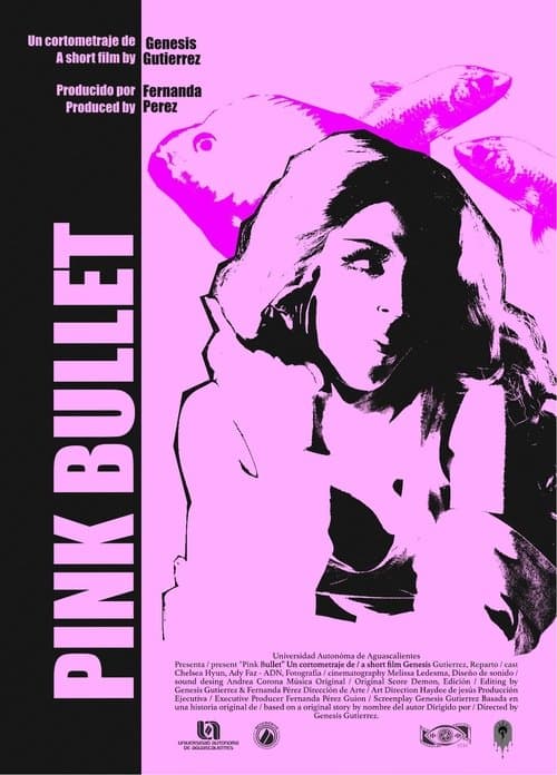 PINK BULLET poster