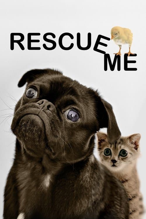 Rescue Me movie poster