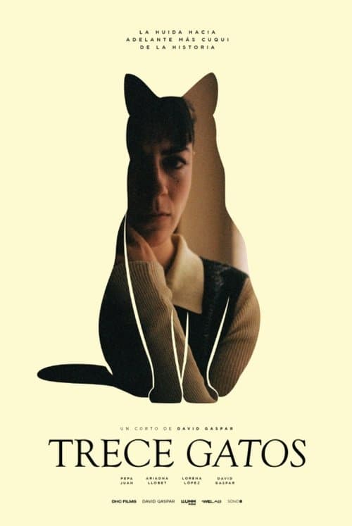 13 gatos