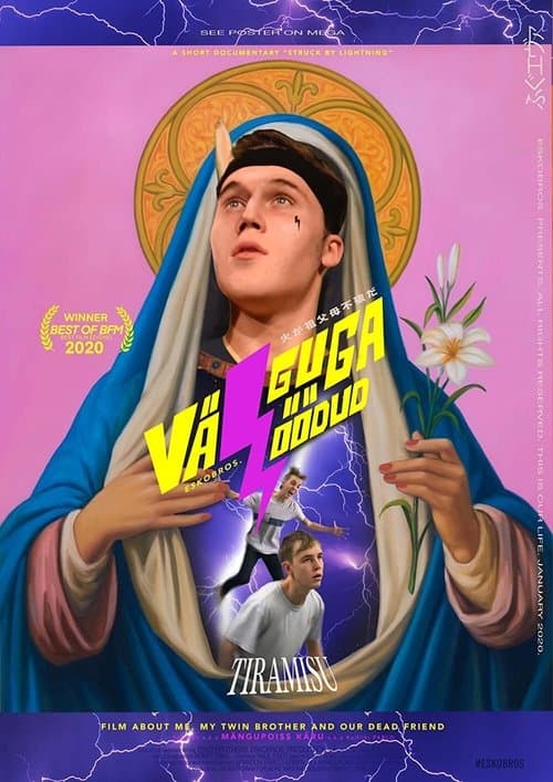 Struck by Lightning movie poster