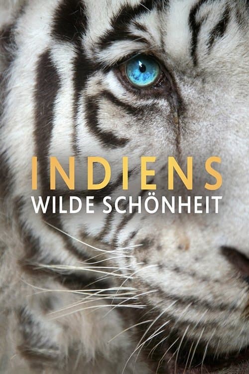 India's Wild Beauty poster