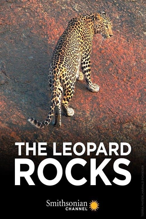The Leopard Rocks movie poster