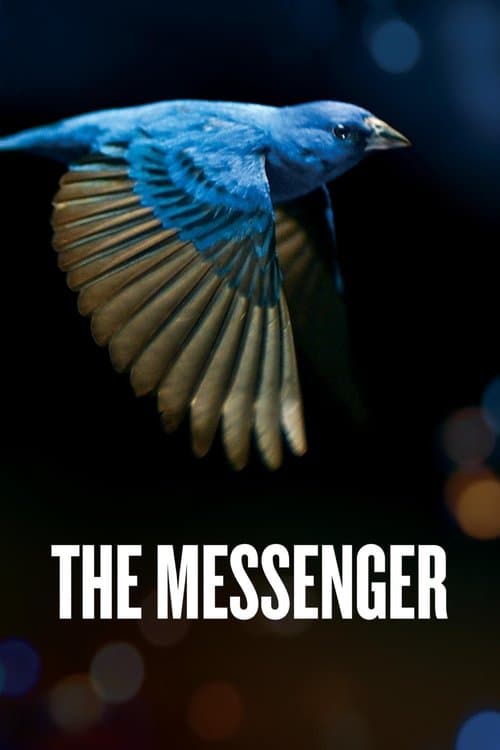 The Messenger movie poster
