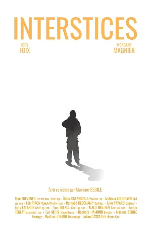 Interstices poster