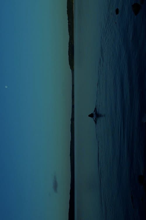 THE WATERS