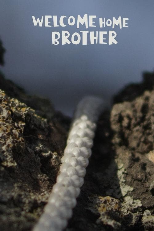 Welcome home brother movie poster
